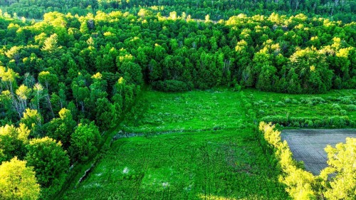 Terre/Terrain - Route 148, Grenville-Sur-La-Rouge, QC 