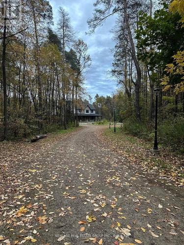 9031 Sideroad 17, Erin, ON - Outdoor With View