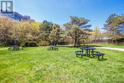 Picnic Area - 