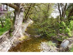 Lovely creek running near by - 