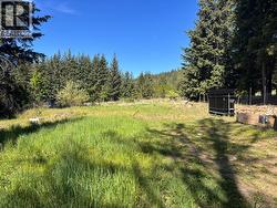 2607 Airstrip Road Anglemont, BC V0E 1M8