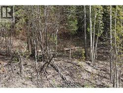 Lot 2 Vickers Trail Anglemont, BC V0E 1M8