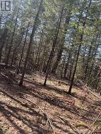 0 KIRKPATRICK LANE Bracebridge, ON P1L 1X3