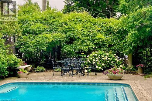 5 Undercliffe Avenue, Hamilton, ON - Outdoor With In Ground Pool With Backyard