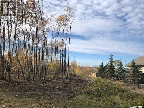 520 Diamond Willow Drive, Goodsoil, SK 