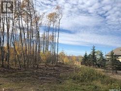 520 Diamond Willow DRIVE Goodsoil, SK S0M 1A0