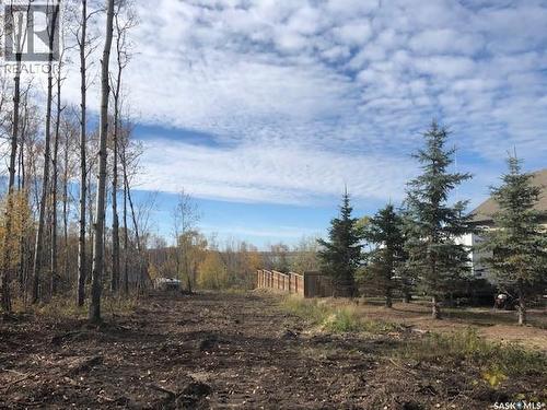 520 Diamond Willow Drive, Goodsoil, SK 
