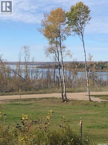 520 Diamond Willow Drive, Goodsoil, SK 