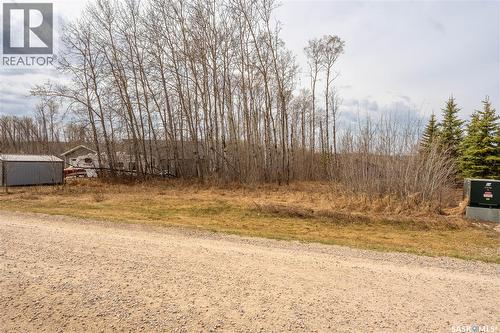 520 Diamond Willow Drive, Goodsoil, SK 