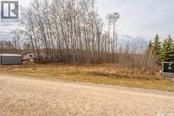 520 Diamond Willow DRIVE Goodsoil, SK S0M 1A0