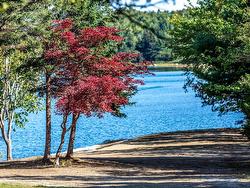67 Graves Island Road East Chester, NS B0J 1J0