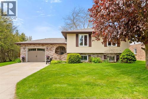 42 William AVENUE  Kingsville, ON N9Y 3T4