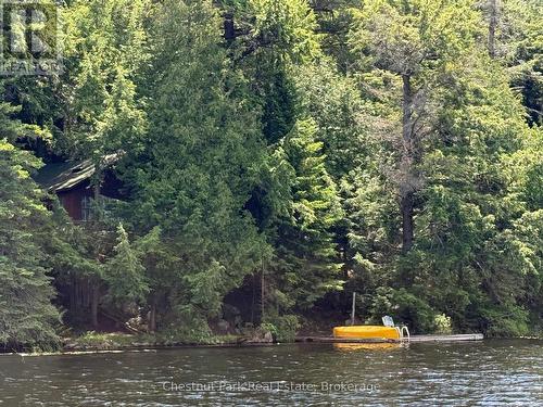 Welcome to 19 Cache Lk! - Apl1136E - 19 Cache Lake, South Algonquin, ON - Outdoor With Body Of Water With View