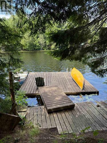 Deep water swimming off the dock - Apl1136E - 19 Cache Lake, South Algonquin, ON - Outdoor With Body Of Water With Deck Patio Veranda