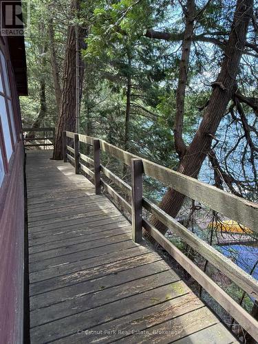 Front of the cottage, close to the shore - Apl1136E - 19 Cache Lake, South Algonquin, ON - Outdoor