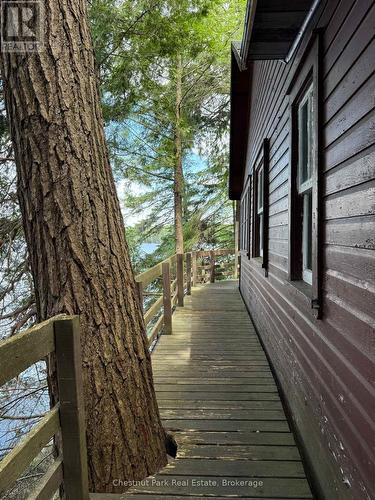 Wraparound deck, front of the cottage view - Apl1136E - 19 Cache Lake, South Algonquin, ON - Outdoor