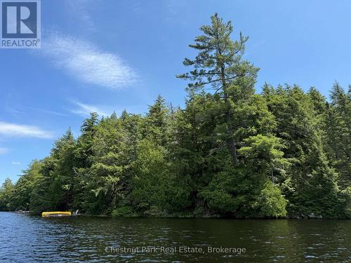 Large, well treed site - Apl1136E - 19 Cache Lake, South Algonquin, ON - Outdoor With Body Of Water With View