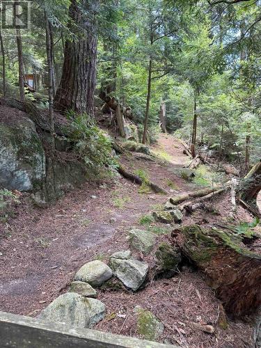 Trail up to outhouse and the large lease site - Apl1136E - 19 Cache Lake, South Algonquin, ON - Outdoor With View