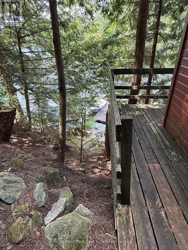 Apl1136E - 19 Cache Lake, South Algonquin, ON - Outdoor