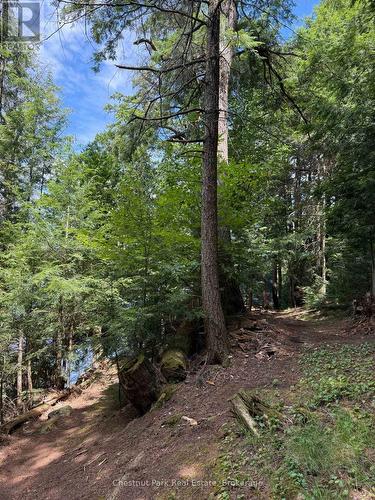 Apl1136E - 19 Cache Lake, South Algonquin, ON - Outdoor With View