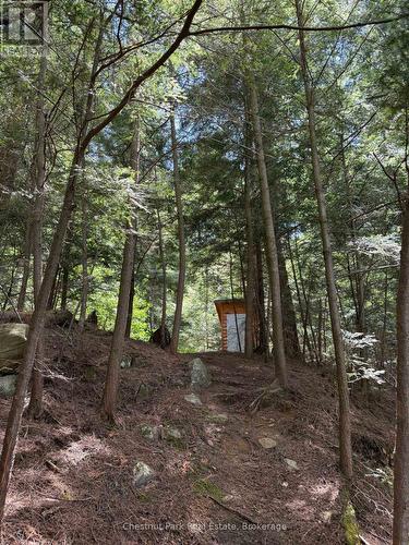 Apl1136E - 19 Cache Lake, South Algonquin, ON - Outdoor With View