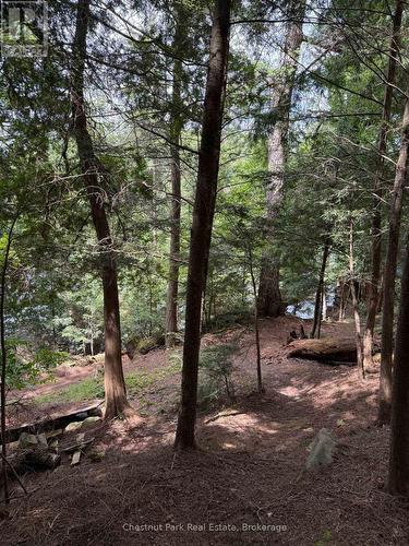 Apl1136E - 19 Cache Lake, South Algonquin, ON - Outdoor With View