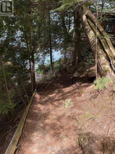 Apl1136E - 19 Cache Lake, South Algonquin, ON - Outdoor With View