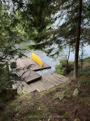 Apl1136E - 19 Cache Lake, South Algonquin, ON - Outdoor