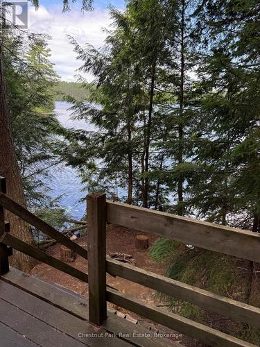 Apl1136E - 19 Cache Lake, South Algonquin, ON - Outdoor