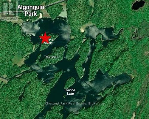 Apl1136E - 19 Cache Lake, South Algonquin, ON - 