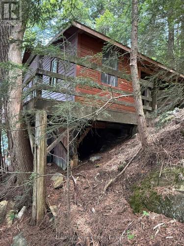 Apl1136E - 19 Cache Lake, South Algonquin, ON - Outdoor