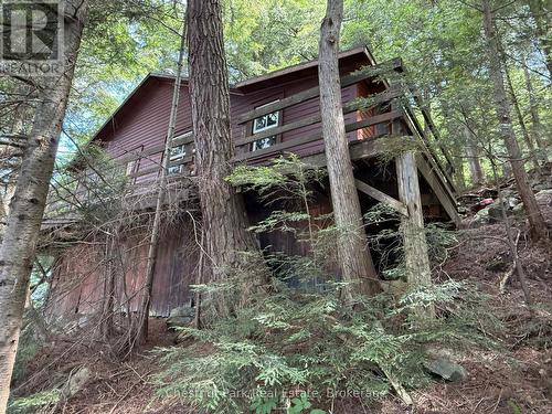 Rustic cottage sits at the water's edge - Apl1136E - 19 Cache Lake, South Algonquin, ON - Outdoor