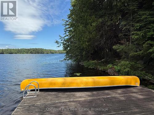 View to the east. Excellent lateral privacy - Apl1136E - 19 Cache Lake, South Algonquin, ON - Outdoor With Body Of Water With View