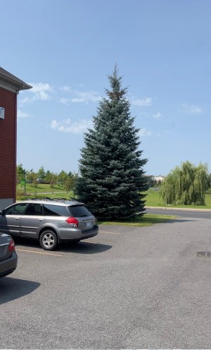 Stationnement - 5-7655 Rue Lautrec, Brossard, QC - Outdoor With View