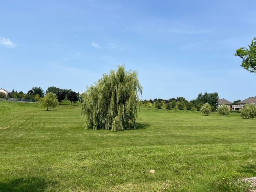 Autre - 5-7655 Rue Lautrec, Brossard, QC - Outdoor With View