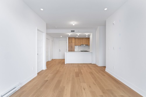 Living Room - 205-10130 Rue Lauraine-Vaillancourt, Montréal (Ahuntsic-Cartierville), QC - Indoor Photo Showing Kitchen