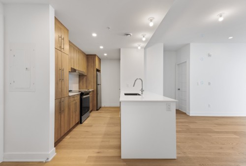 Kitchen - 205-10130 Rue Lauraine-Vaillancourt, Montréal (Ahuntsic-Cartierville), QC - Indoor Photo Showing Kitchen