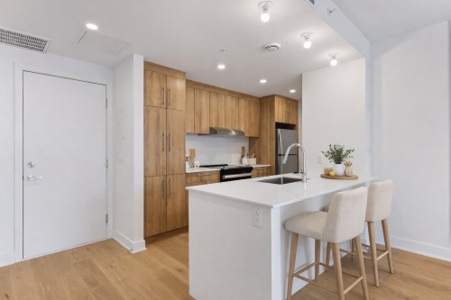 Kitchen - 205-10130 Rue Lauraine-Vaillancourt, Montréal (Ahuntsic-Cartierville), QC - Indoor Photo Showing Kitchen