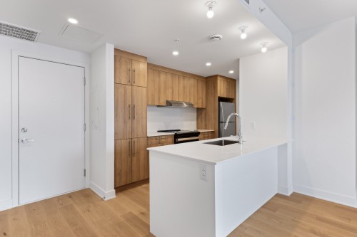 Kitchen - 205-10130 Rue Lauraine-Vaillancourt, Montréal (Ahuntsic-Cartierville), QC - Indoor Photo Showing Kitchen