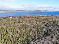 46 Acres Washabuck Road Lower Washabuck, NS B2C 1N4