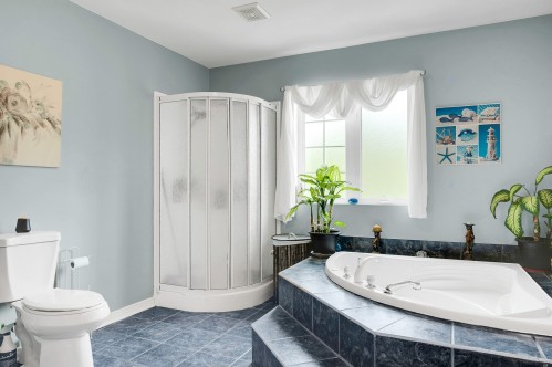 Bathroom - 133 Rue Marguerite, Sainte-Agathe-Des-Monts, QC - Indoor Photo Showing Bathroom