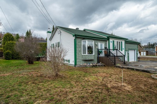 Overall view - 133 Rue Marguerite, Sainte-Agathe-Des-Monts, QC - Outdoor