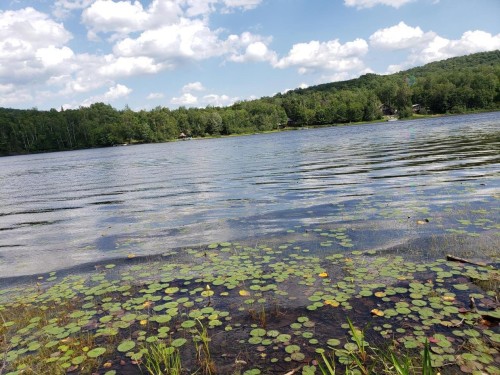 Vue - Ch. Du Baluchon, Lac-Des-Plages, QC 
