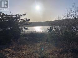 102 Harbour Road Colliers, NL A0A 1Y0