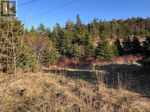 102 Harbour Road, Colliers, NL 