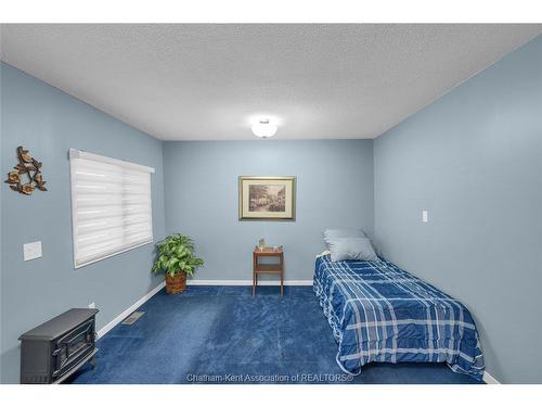 10374 Shepherds Line, Dresden, ON 