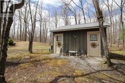 Bunkie - 