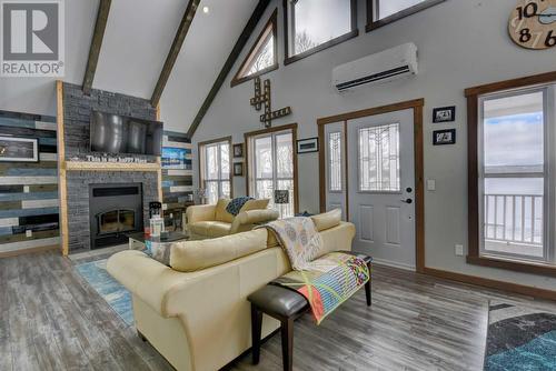 10 Lunch Point, Howley, NL - Indoor Photo Showing Living Room With Fireplace