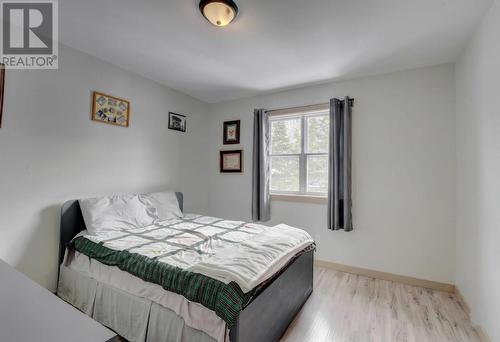 10 Lunch Point, Howley, NL - Indoor Photo Showing Bedroom