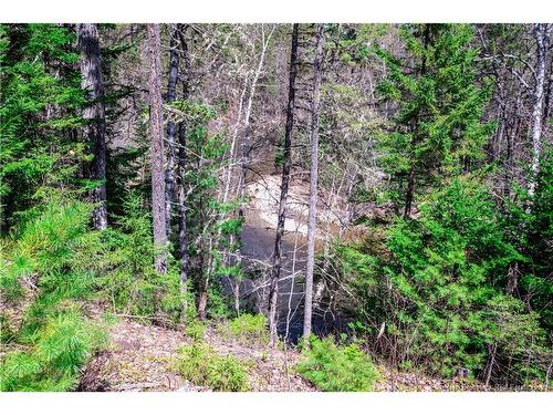 27 Parkindale Rd, Pollett River, NB 